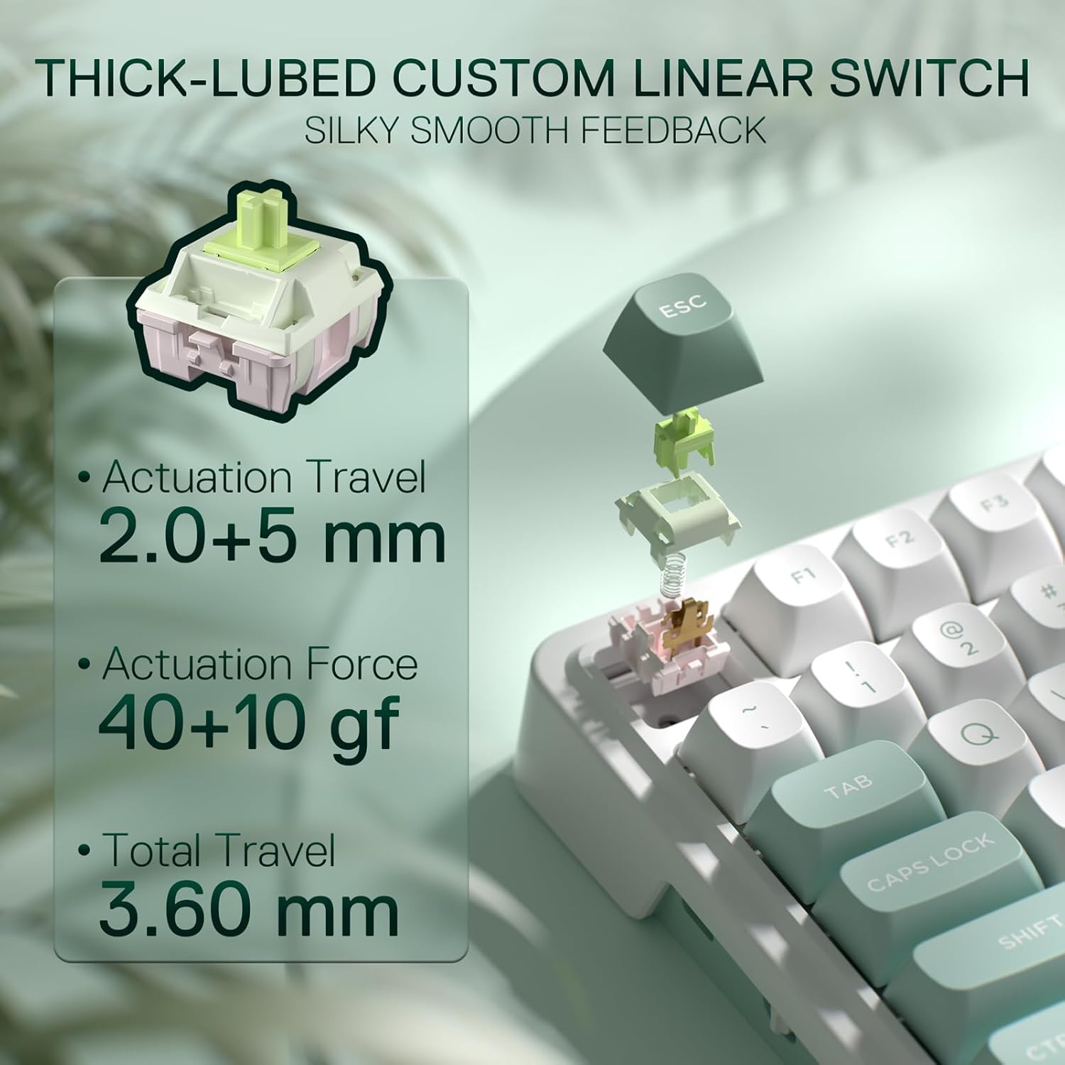 Redragon K719 ワイヤレスガスケットゲーミング  - Gaming Keyboard Thocky のレビューと価格